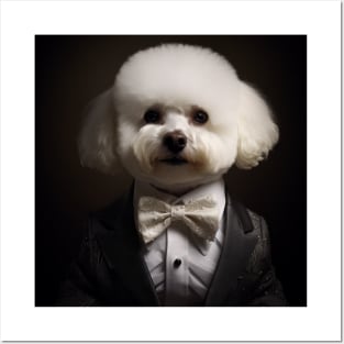 Bichons Frise Dog in Suit Posters and Art